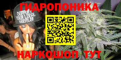 трава Заводоуковск