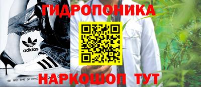 прущие грибы Заволжье